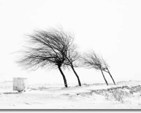 Жълт код за опасен вятър в 8 области на България