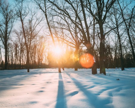 Слънчево време в първия ден от годината