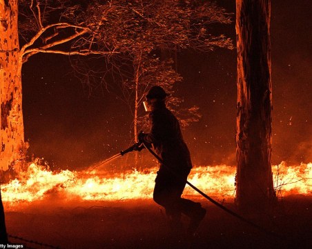 Австралия пред хуманитарна криза, 18 са жертвите от пожарите