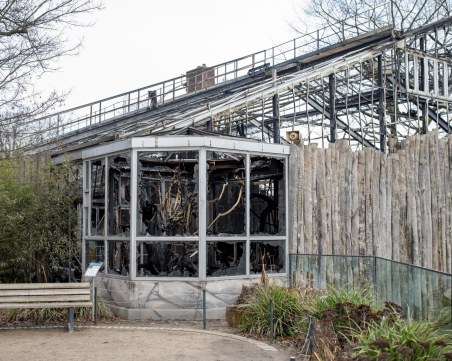 Майка и две дъщери подпалили зоопарка в Крефелд