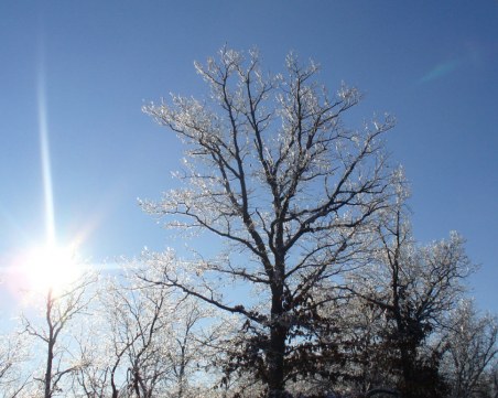 Каква ще бъде първата събота за годината?