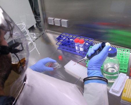 Мистериозна епидемия мори Хонконг