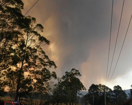 Знаменитости правят дарения в полза на пострадалите от пожарите в Австралия