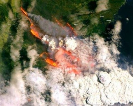 Няма данни за пострадали българи при пожарите в Австралия