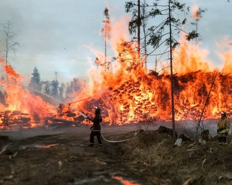 Голям пожар избухна в Подмосковието! Има загинали