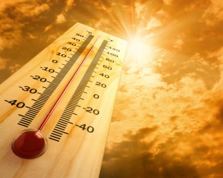 2019 г. - втората най-топла досега