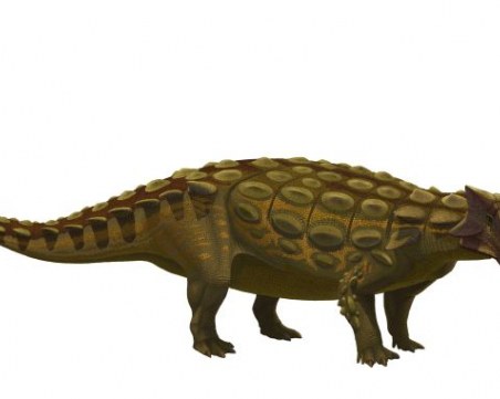 Имало ли е динозаври по българските земи?