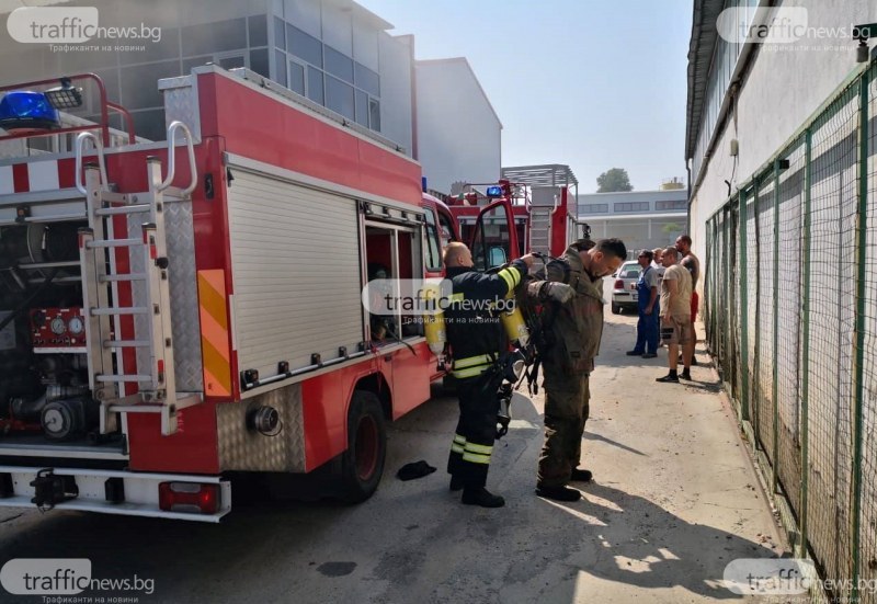 Само за 10 дни: 133 пожара са избухнали в Пловдив и областта