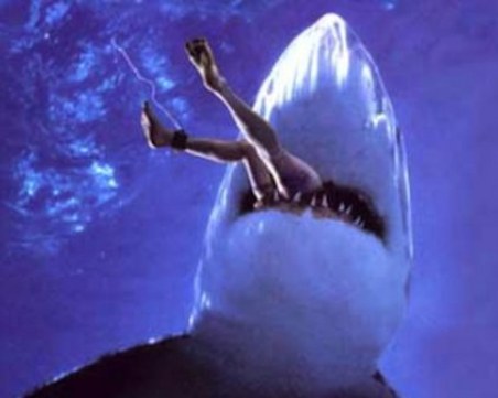 Трагедия! Акула изяде 21-годишен австралийски футболист