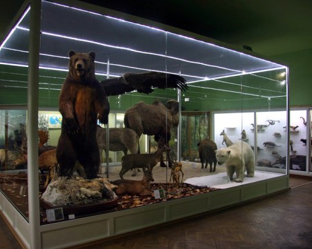 Празничен уикенд за децата в Пловдив