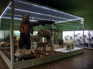 Празничен уикенд за децата в Пловдив