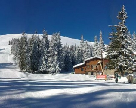 Откриха труп на жена във Витоша