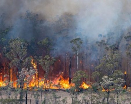 Пожарникар загина, борейки се с огъня в Австралия, жертвите вече са 28