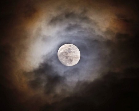 Японски милиардер си търси спътница за полет до Луната