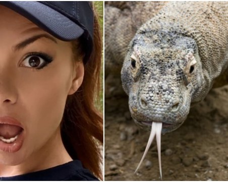 Най-опасният гущер в света подгони Преслава и Павел в Тайланд