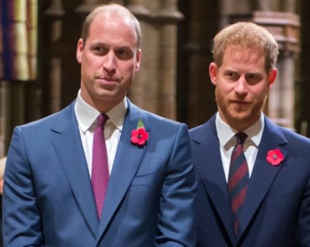 Скарани ли са принцовете Хари и Уилям?