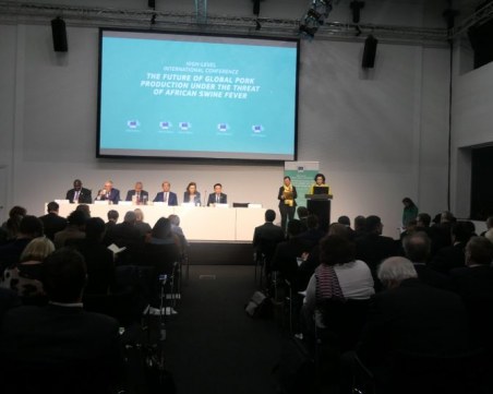 Близо 70 млн. лв. струвала африканската чума на България