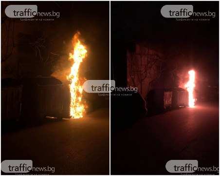 Кош пламна в Кючука, пламъците обхванаха дърво