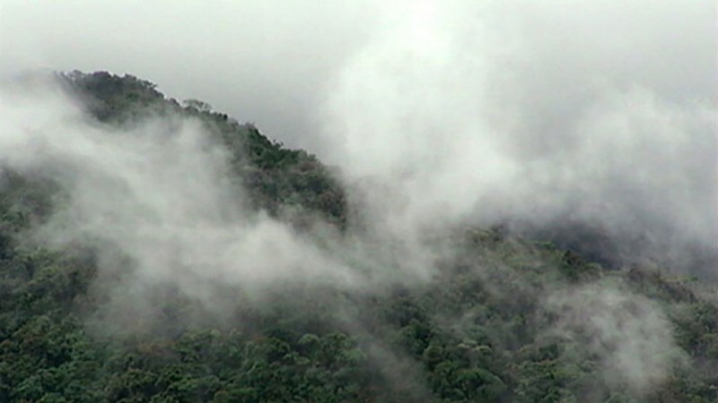 Мъгли и ниска облачност в събота