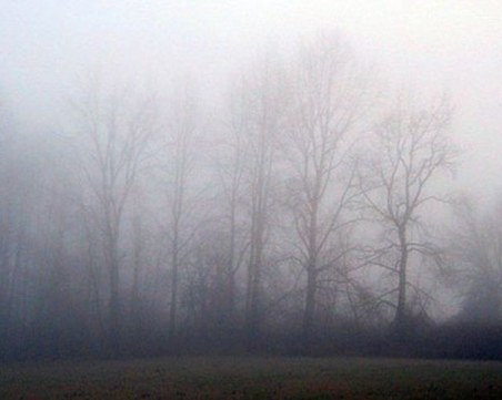 Облачно, но без валежи ще е времето днес