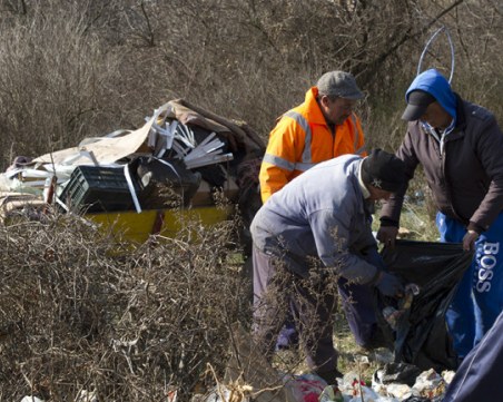 Откриха яма с кости на животни край Стара Загора