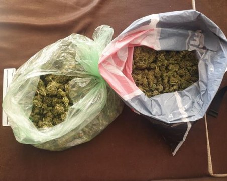 Откриха половин килограм марихуана в жилището на 25-годишен в Пловдив