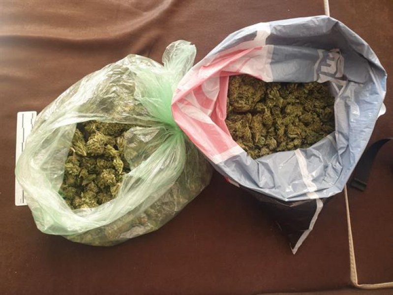 Откриха половин килограм марихуана в жилището на 25-годишен в Пловдив