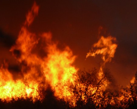 Голям пожар обхвана Драгоманското блато, стотици видове животни са застрашени