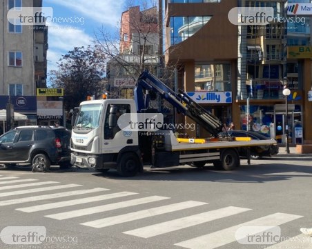 Паякът отново излезе на лов до Новотела, нарушители 