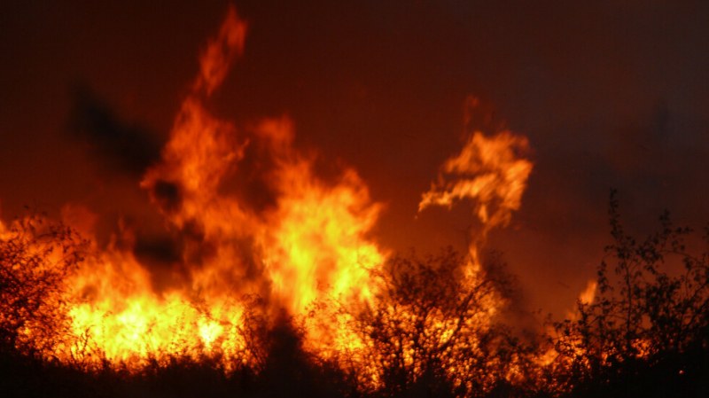 Голям пожар обхвана Драгоманското блато, стотици видове животни са застрашени
