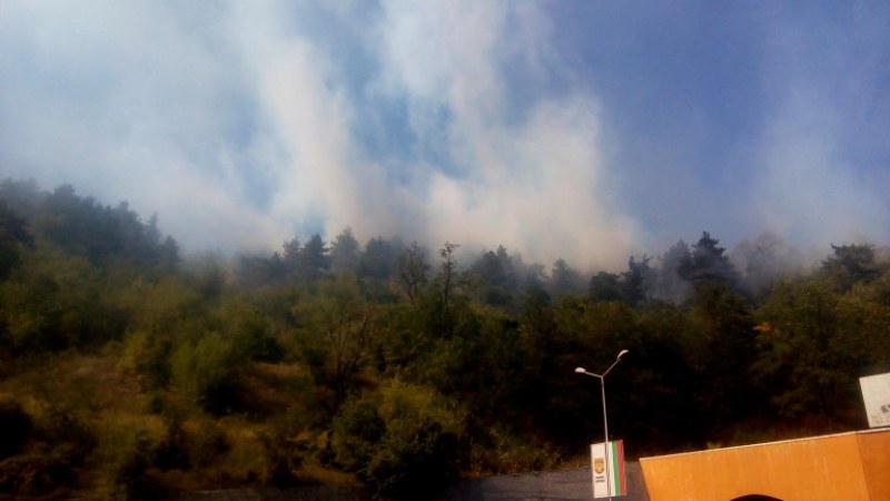 Пожар гори край Дуранкулашкото езеро