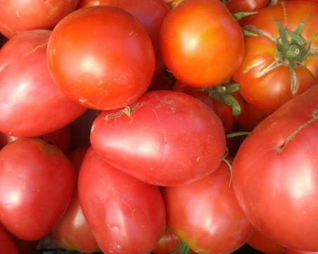 Кога един продукт е био? Намериха пестициди в биодмати у нас