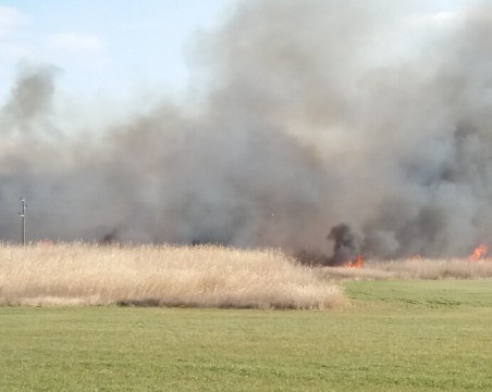 Овладяха пожара, бушуващ край Орловото блато