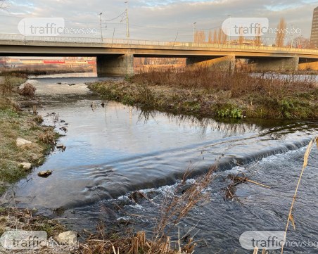 Марица - токсична! Разследват няколко фирми за отравяне на водата