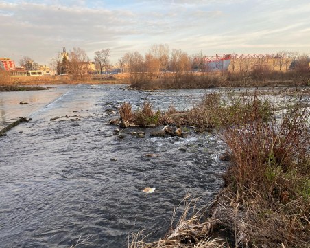 Дани Каназирева за отравянето на Марица: Разследва се пазарджишка фирма, преработваща пластмаса