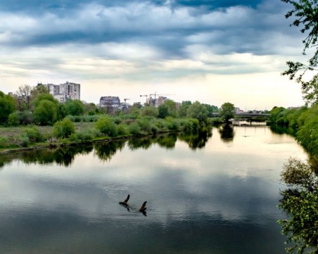 Глобиха фирма за замърсяването на река Марица