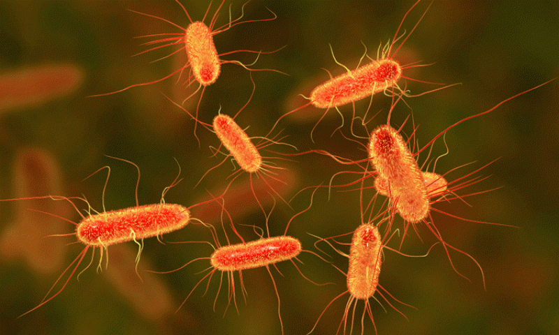 Колко време бактериите остават във въздуха?