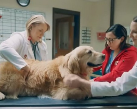 Милионер подари реклама за $6 млн. на ветеринари, спасили кучето му