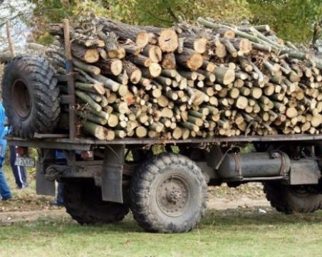 Полицаи и горски нахлуха в ромската махала в Раковски, има санкционирани