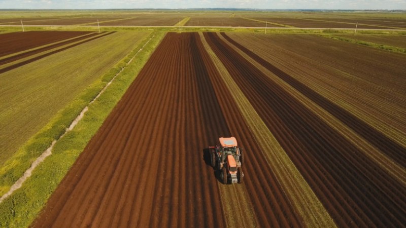 Над 1,6 милиона декара продадени за 6 години в България