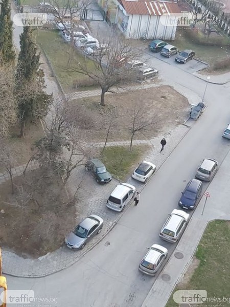 Паркинг или парк? Шофьори окупираха алеи в Тракия