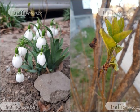 Абсолютни температурни рекорди днес! Лятото посред зима продължава