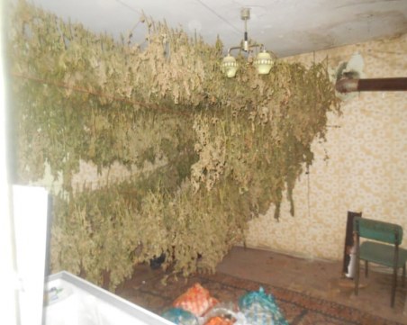 Удар на пловдивската полиция: Хванаха двама братя с 17 кг марихуана в село Искра