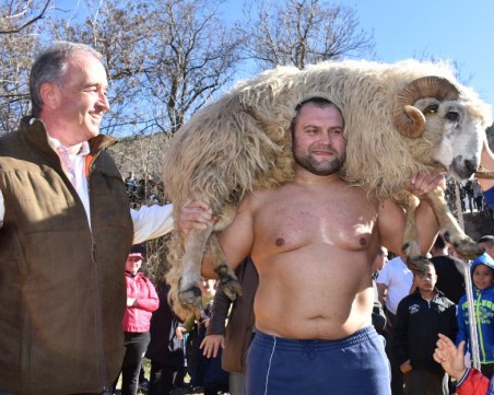 100-килограмовия овен получи победителят в народните борби в Асеновград