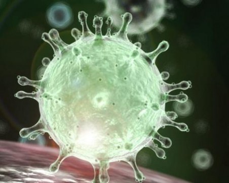 Първи случай на коронавирус в Белгия