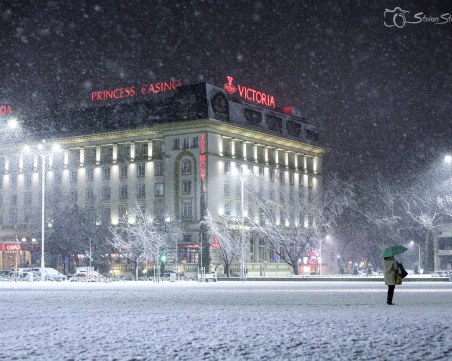 Снимки показват красотата на снежен Пловдив