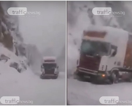 Десетки тирове попаднаха в 