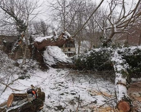 Каква пътната обстановка в общините Асеновград и Брезово?