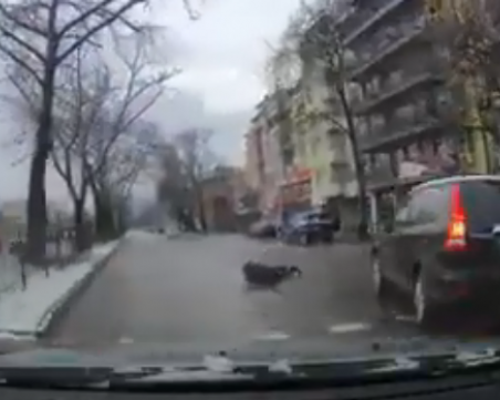 Кола помете пешеходец на кръстовище в Пловдив