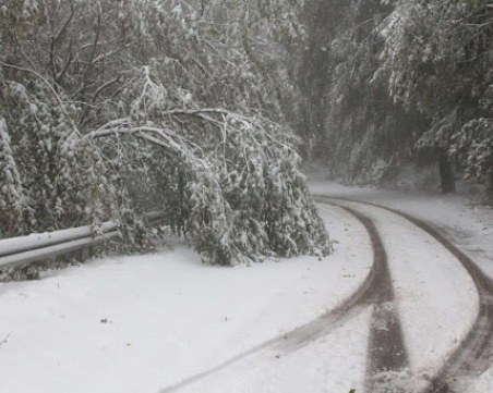 Пълен с туристи автобус закъса в Прохода на Републиката